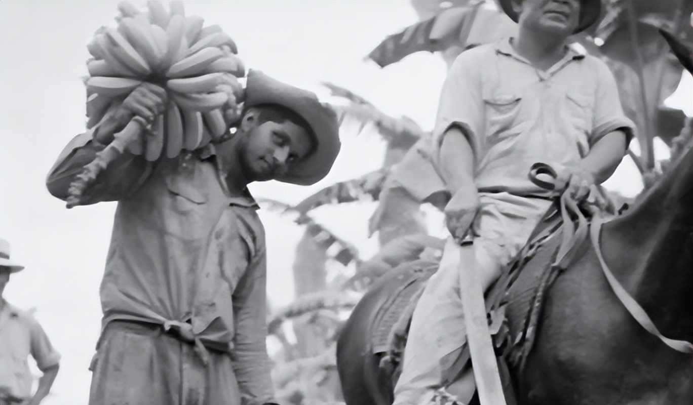 世界杯足球十大暴力冲突,足球世界杯史上最惨烈的比赛