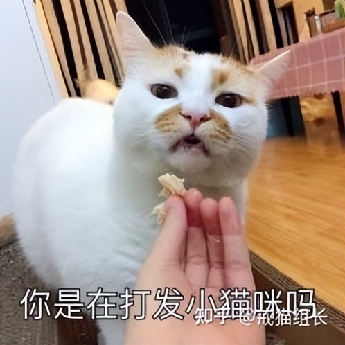 诚实一口冻干罐头测评,口粮罐头测评