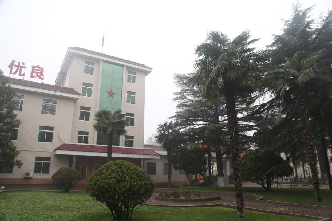 纸上谈兵小学生,少尉在基层