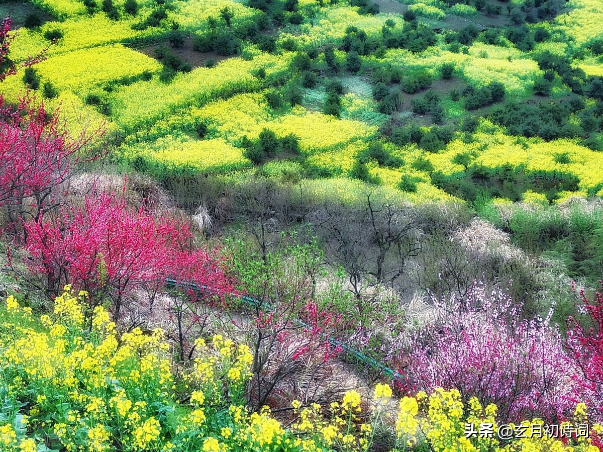 人道*光春**好，我言春堪怜，三*长首**相思诉说春天的情绪
