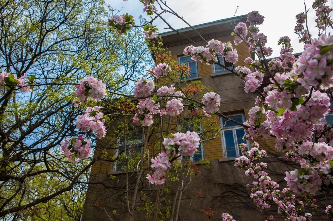 疫情快过去吧，我不想错过这座海滨老城的春天