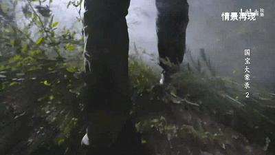 B站9.8，全员恶人，这上亿的买卖，可真刑