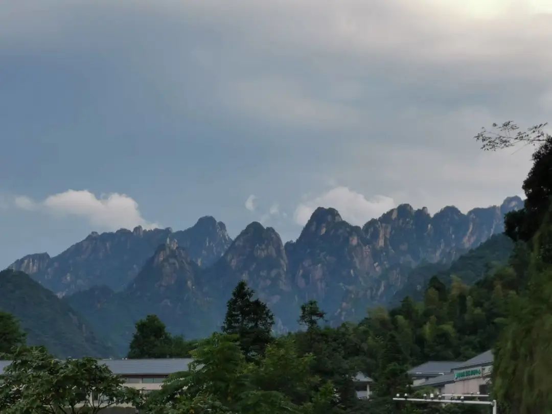 从自然与生活中汲取灵感的建筑师