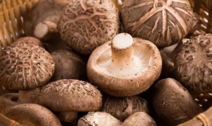 新鲜香菇与干香菇的区别和营养,干香菇和鲜香菇营养