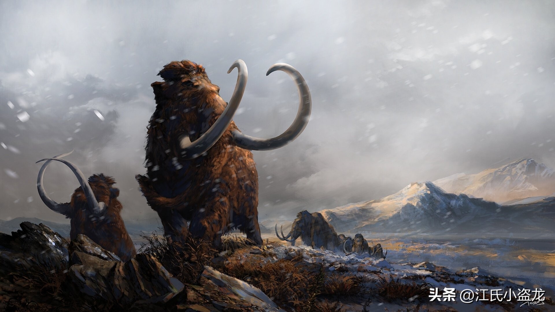 以猛犸象为食物的史前巨兽,猛犸象和人类对比有多高