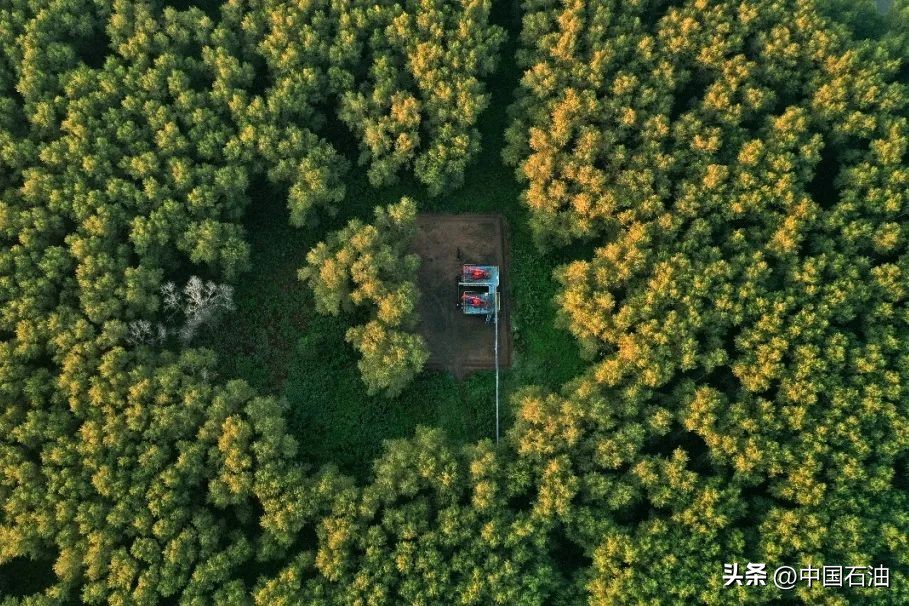 强迫症极度舒适合集,让强迫症极度舒适的瞬间