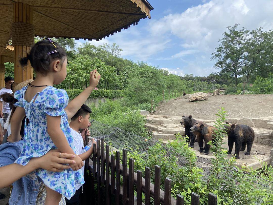 沈阳森林动物园动物喂食时间,冬天沈阳森林动物园攻略
