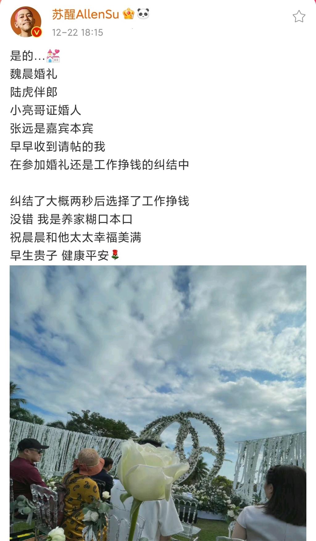 魏晨梗王稳定发挥,新晋梗王魏晨完整版