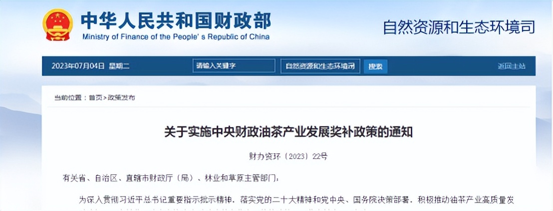 油茶种植一亩利润多少,种植油茶一亩多少利润