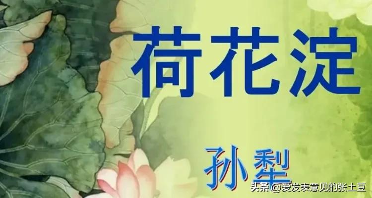 孙犁的白洋淀纪事读书笔记初中,阅读孙犁小说《白洋淀》的感悟