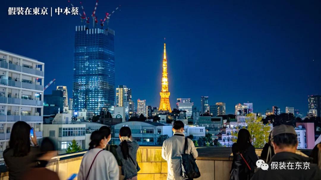 365张照片回顾,365张相片