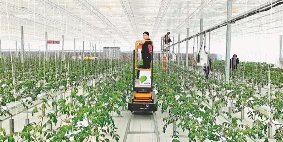 数字农业智慧农业场景,数字农业智慧化