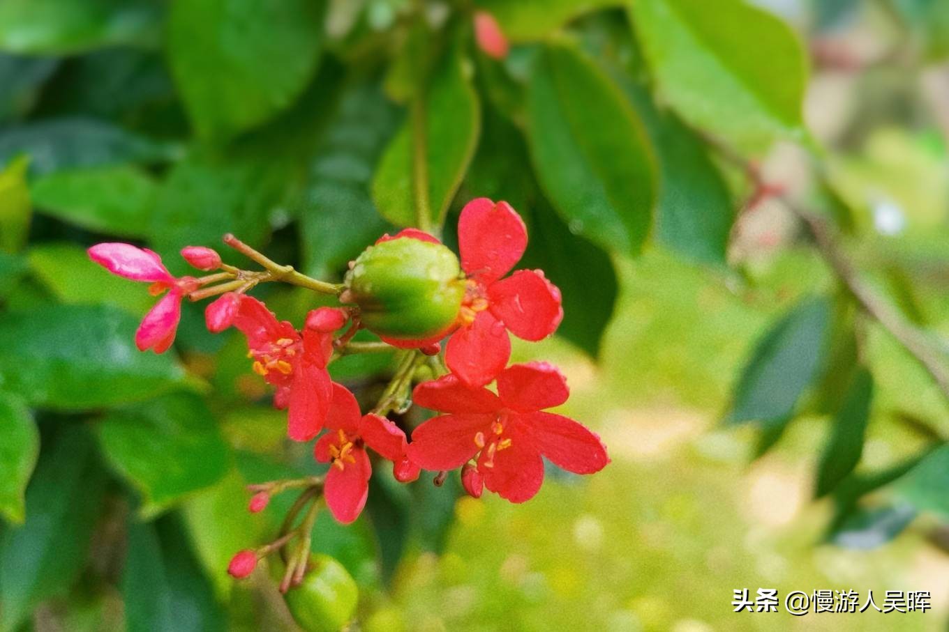 海南环岛游攻略详细行程,海南东线环岛游攻略自由行