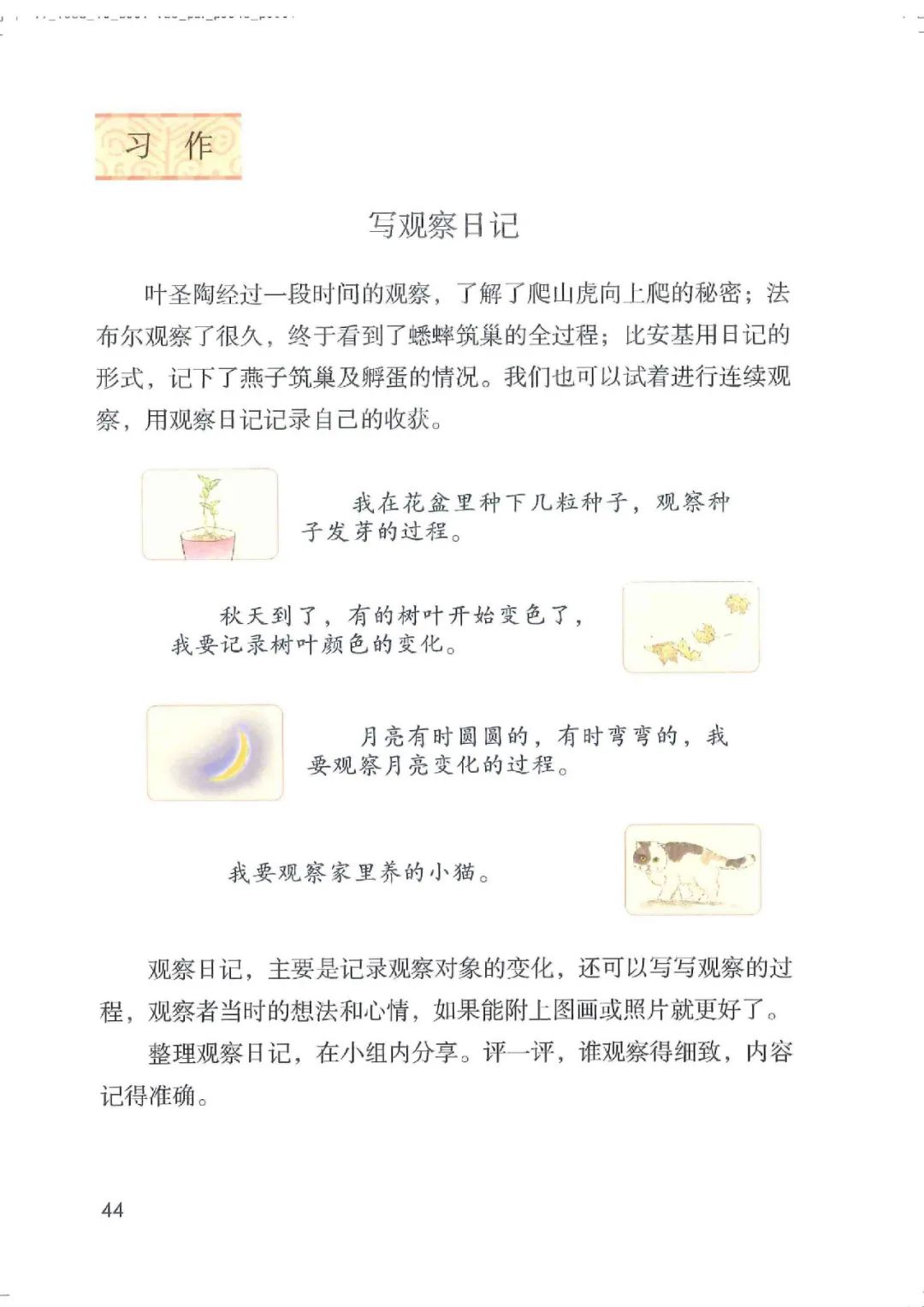 暑假预习教材推荐人教版,四年级上册语文课本人教版完整版