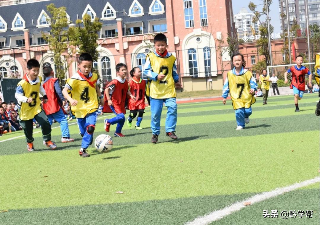 下班后去菜园种菜,放学参加课后服务