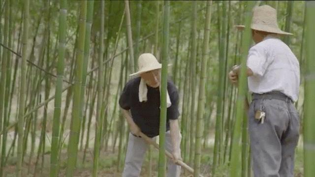 四个人回老家改造老房子,90后回农村建房子视频