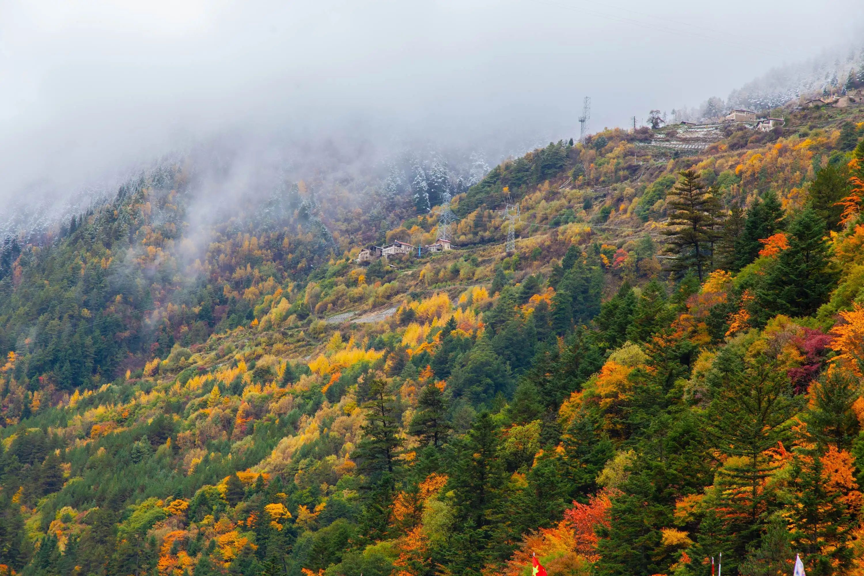 四川米亚罗赏红叶攻略,米亚罗红叶旅游攻略