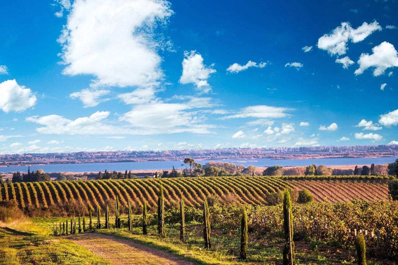 法国罗纳河谷产区葡萄酒,法国葡萄酒产区burgundy