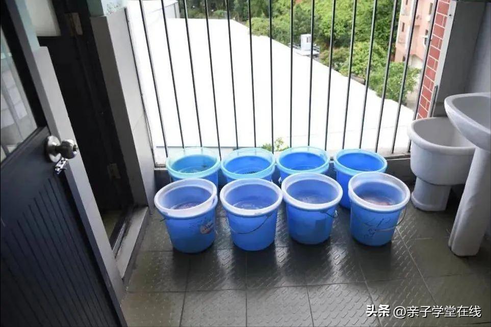 广州热门民办住宿环境大公开！最好的堪比“五星级”