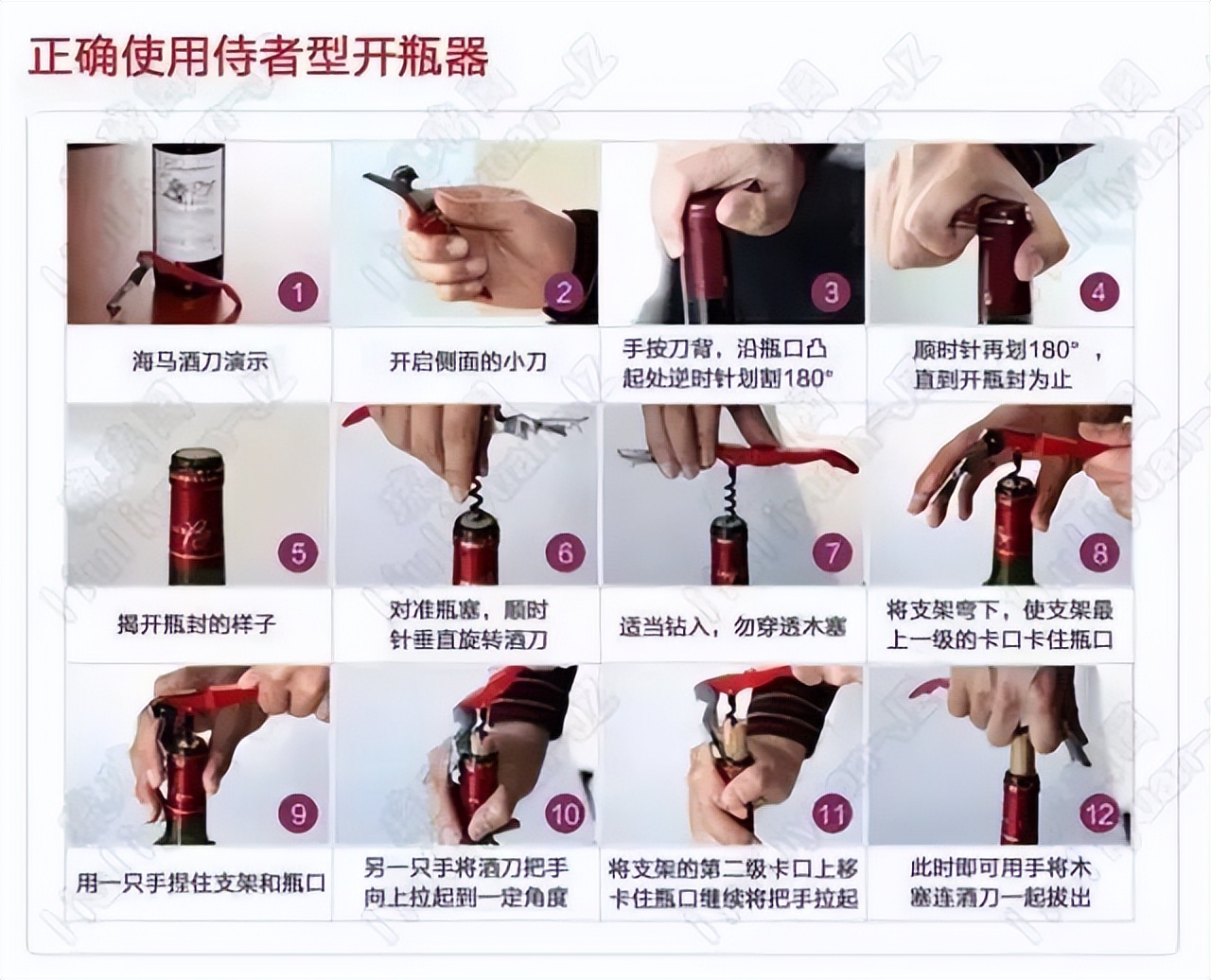 葡萄酒基础知识教程电子版,葡萄酒器具大全