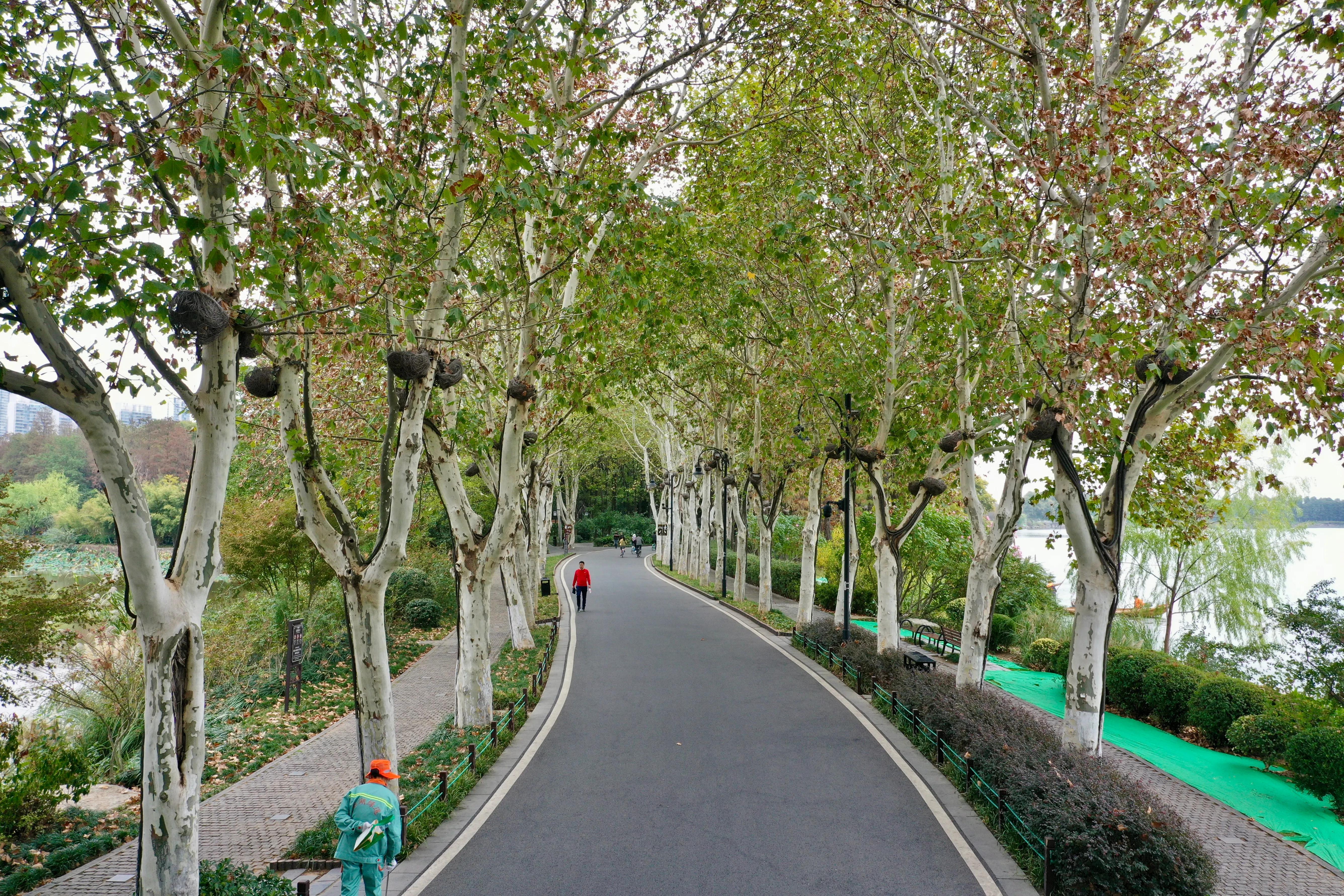 武汉有哪些好玩的地方推荐,武汉江夏亲子游最佳地方推荐