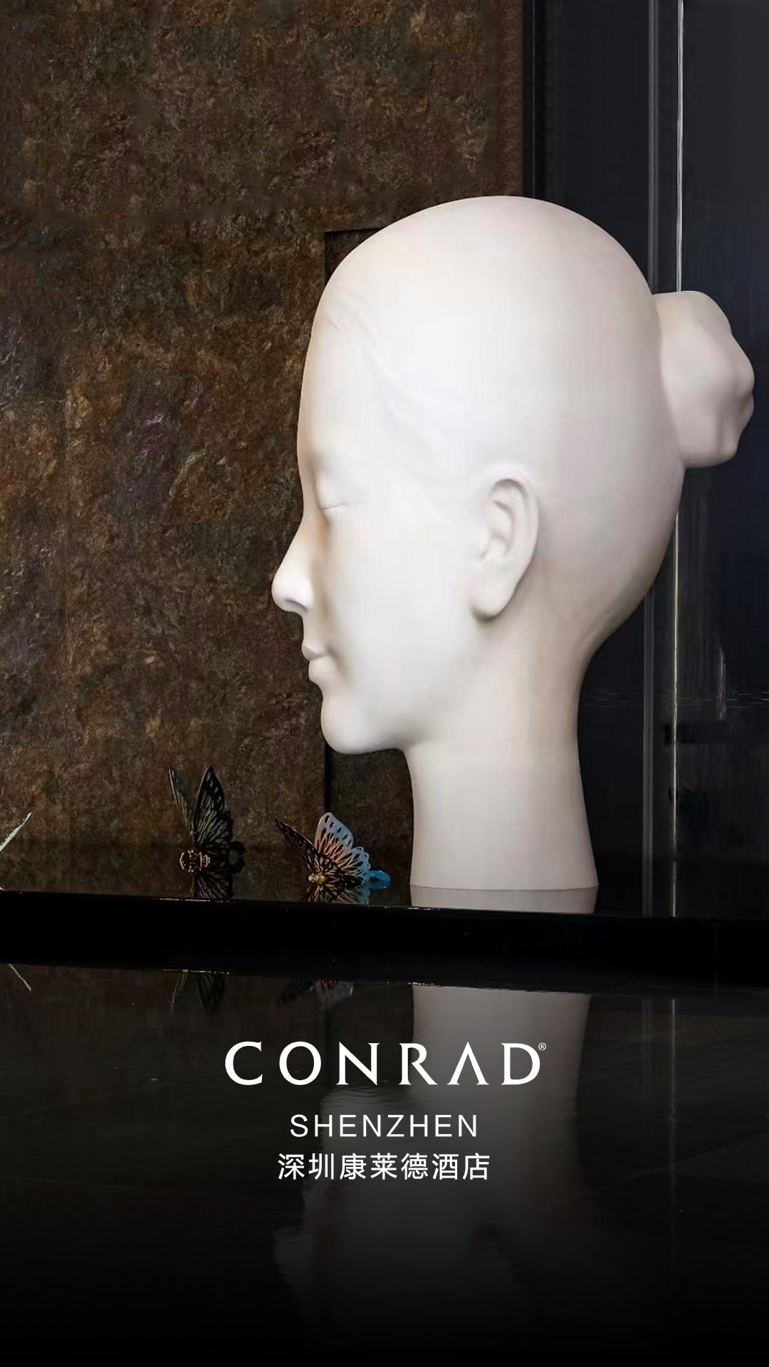 杭州康莱德酒店大厅效果图,深圳康莱德酒店拍摄