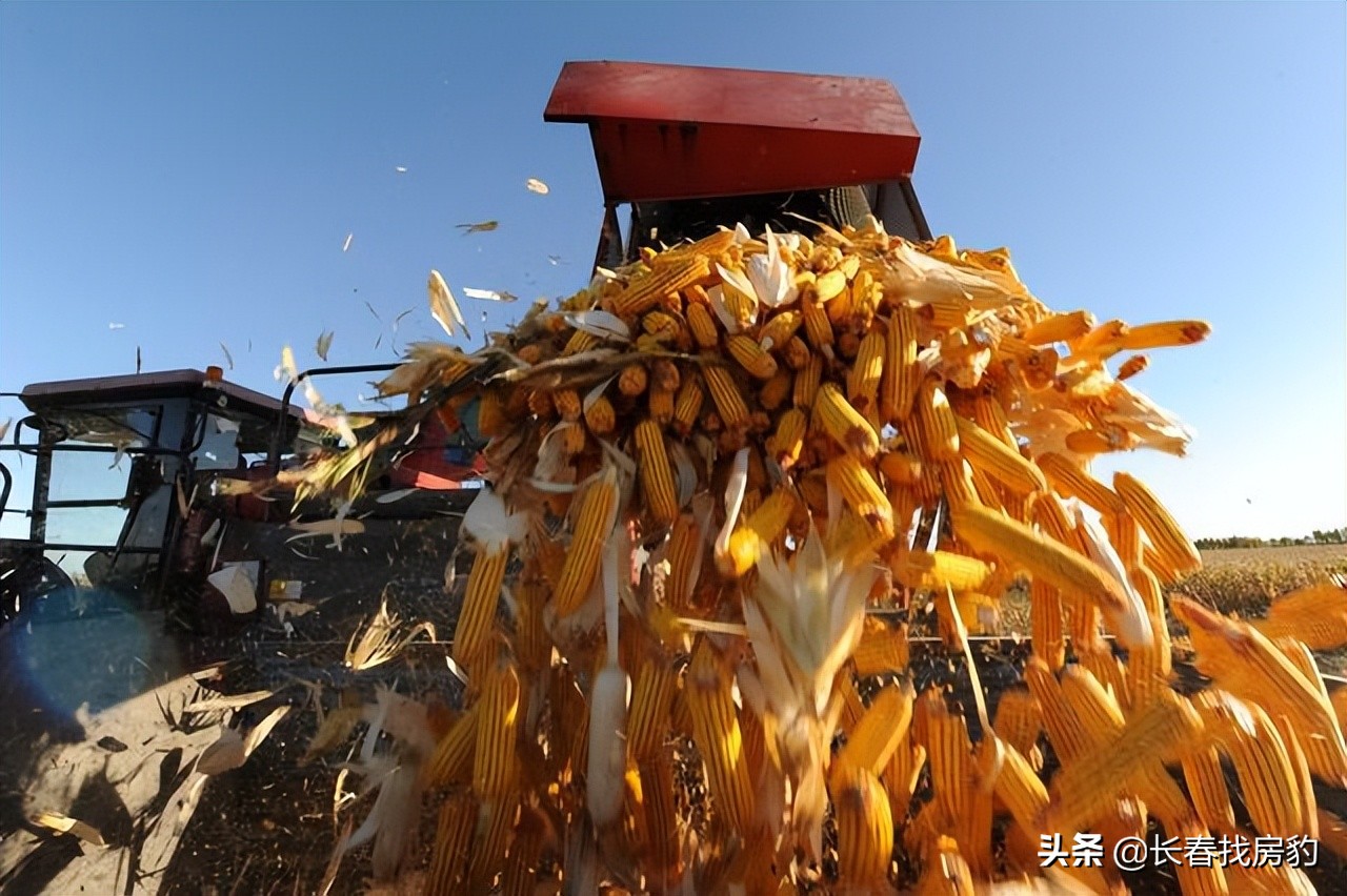 长春解封须知,长春解封条件是什么