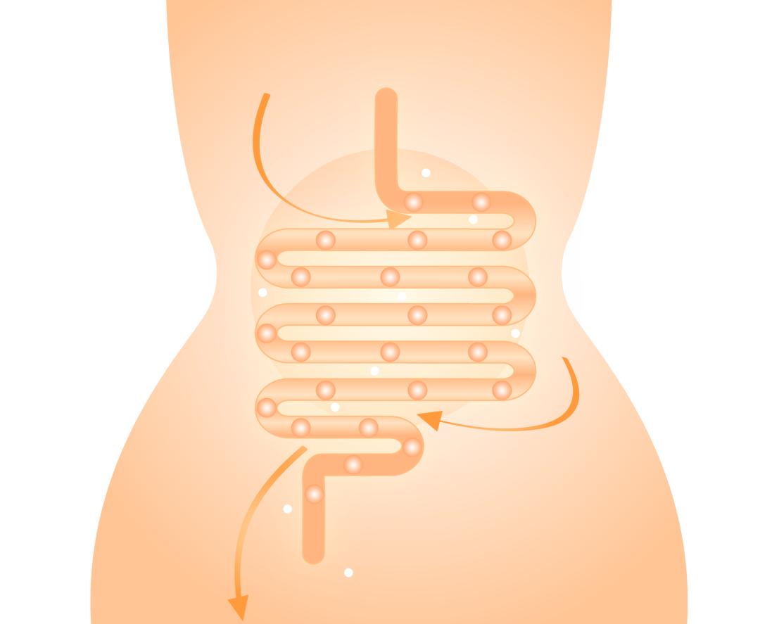 腹泻针灸推拿穴位,一般治疗腹泻的推拿穴位