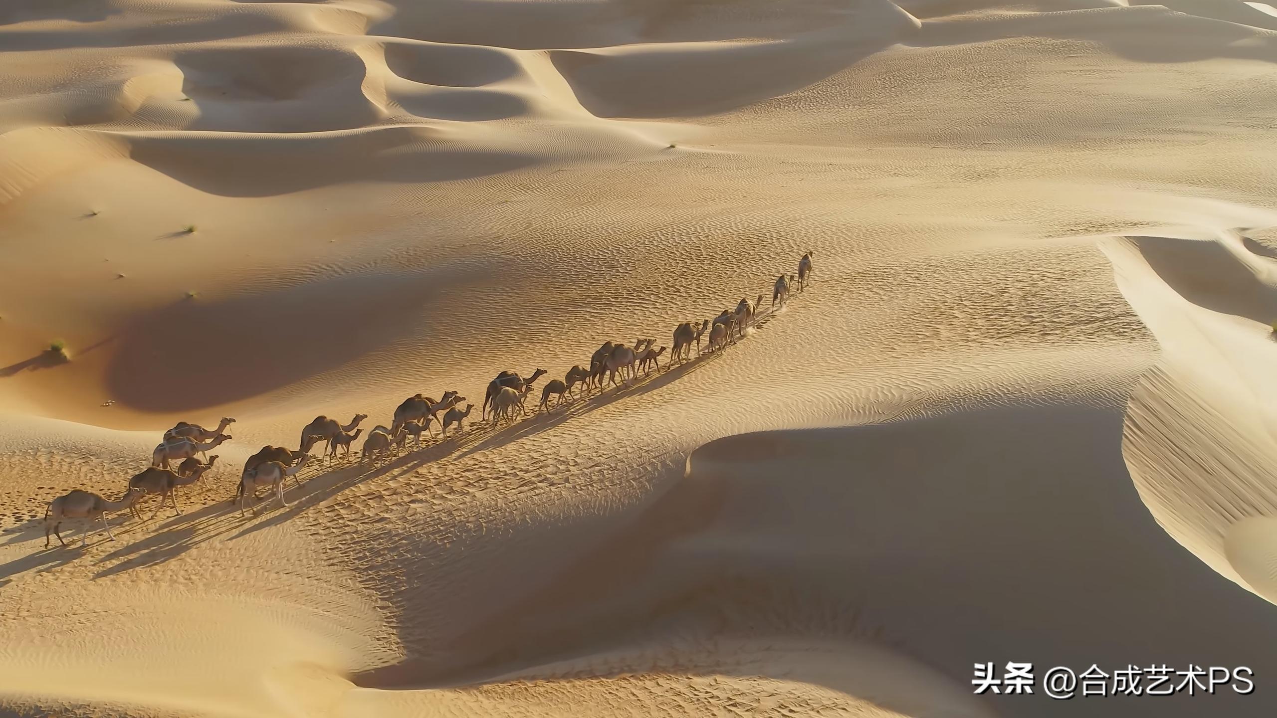 迪拜在世界富有城市排名第几,最富有城市迪拜排行