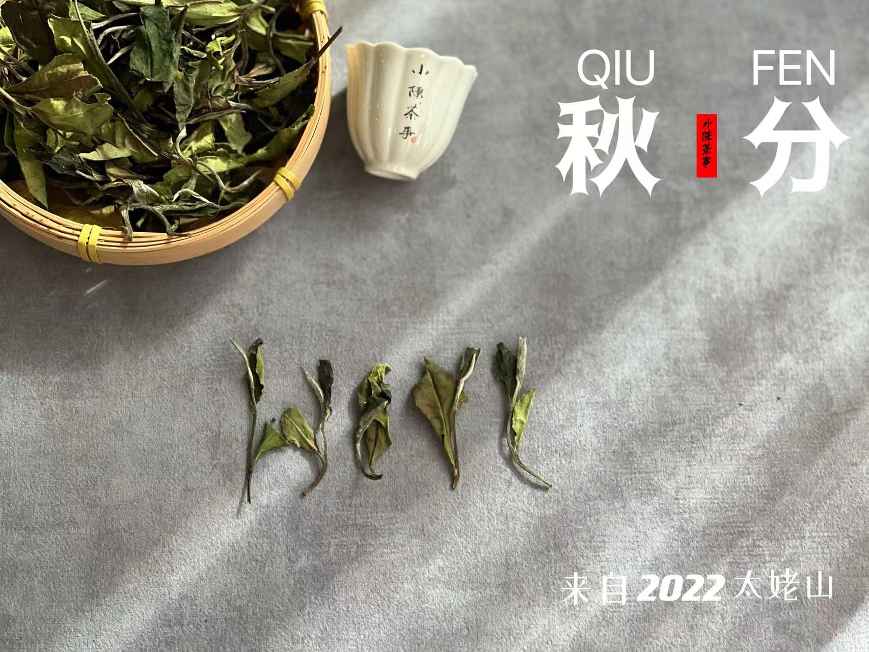 白毫银针茶哪种白茶最好,白茶的寿眉贡眉银针