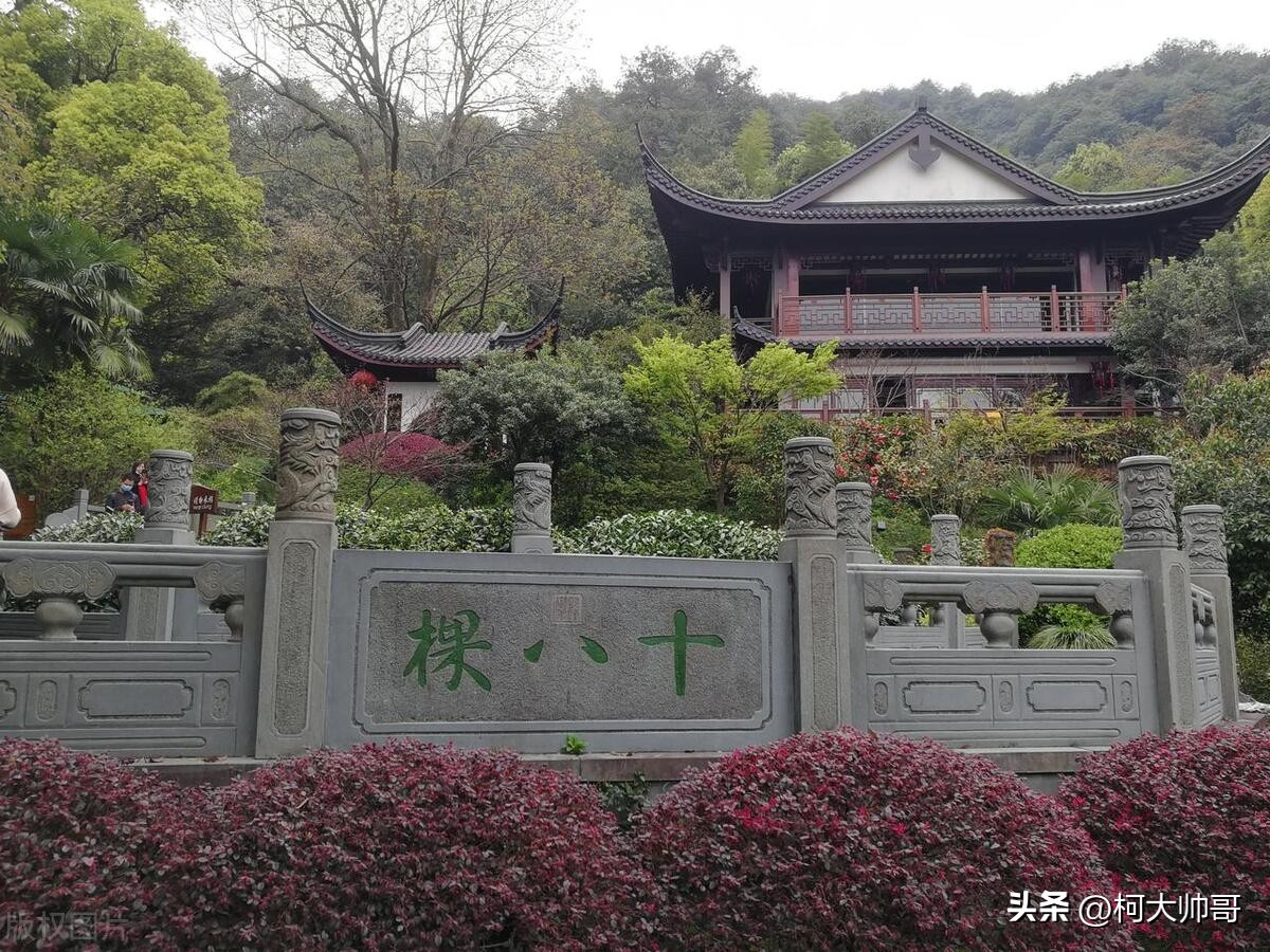 中国茶叶最多的省,谁才是我国茶叶第一大省