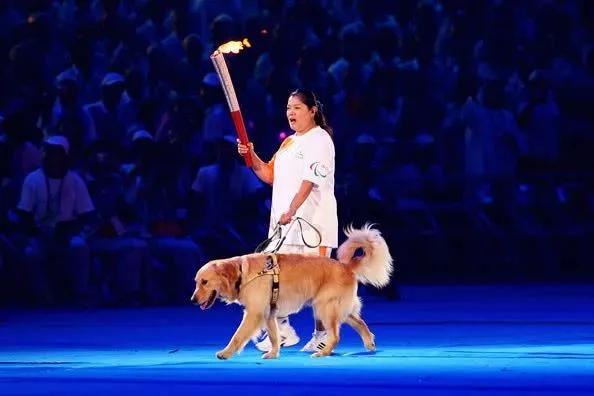 用了上百年的导盲犬，被网友们喷成了一场*局骗**，且不如电子盲杖？