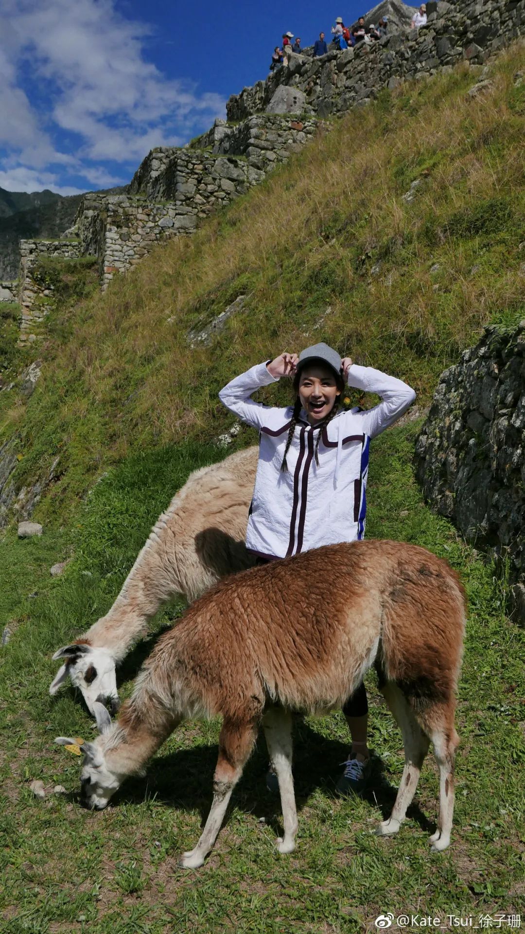 看到她退圈，我终于知道观众有多恨她