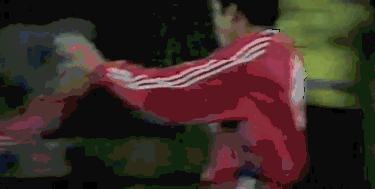 不会真的有人对范志毅的了解仅限于“脸都不要了”吧