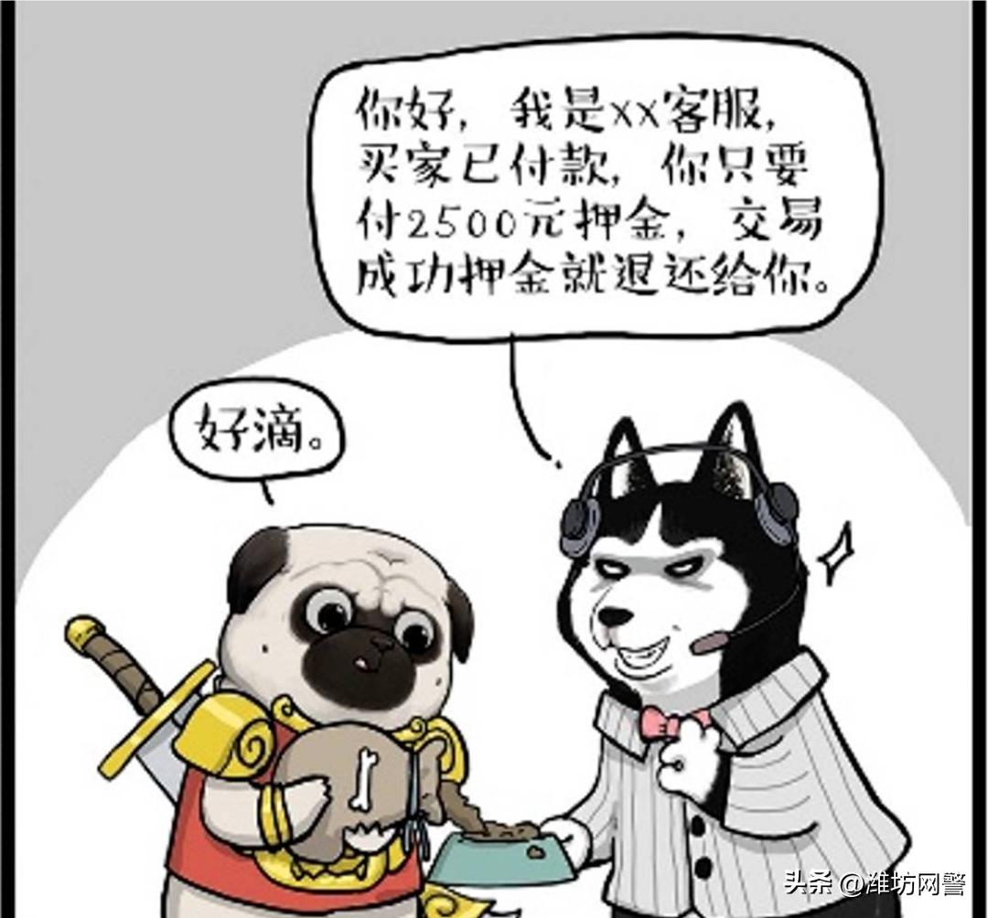 千层套路完整版,历史的千层套路