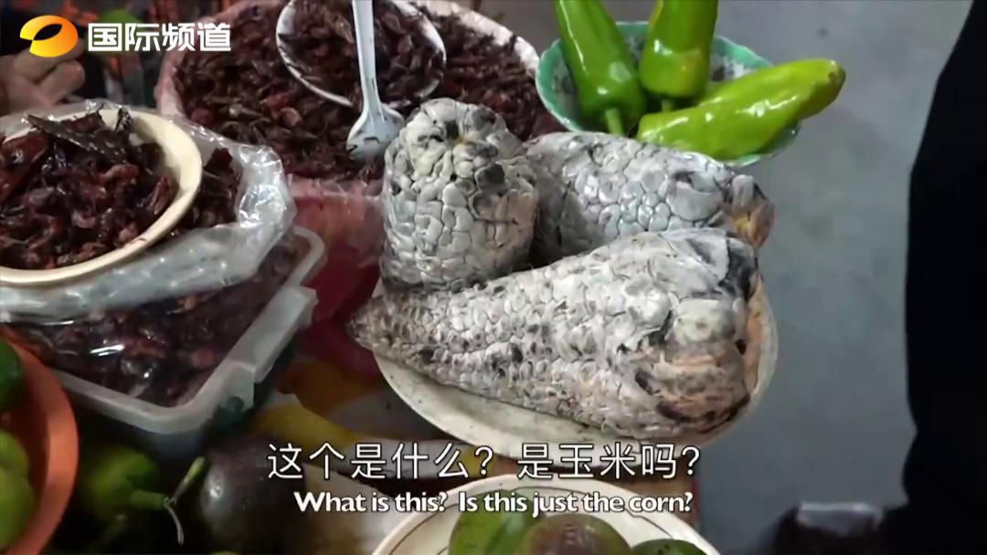 世界潮我看丨中外“导游”带你逛展览、品美食……云游世界