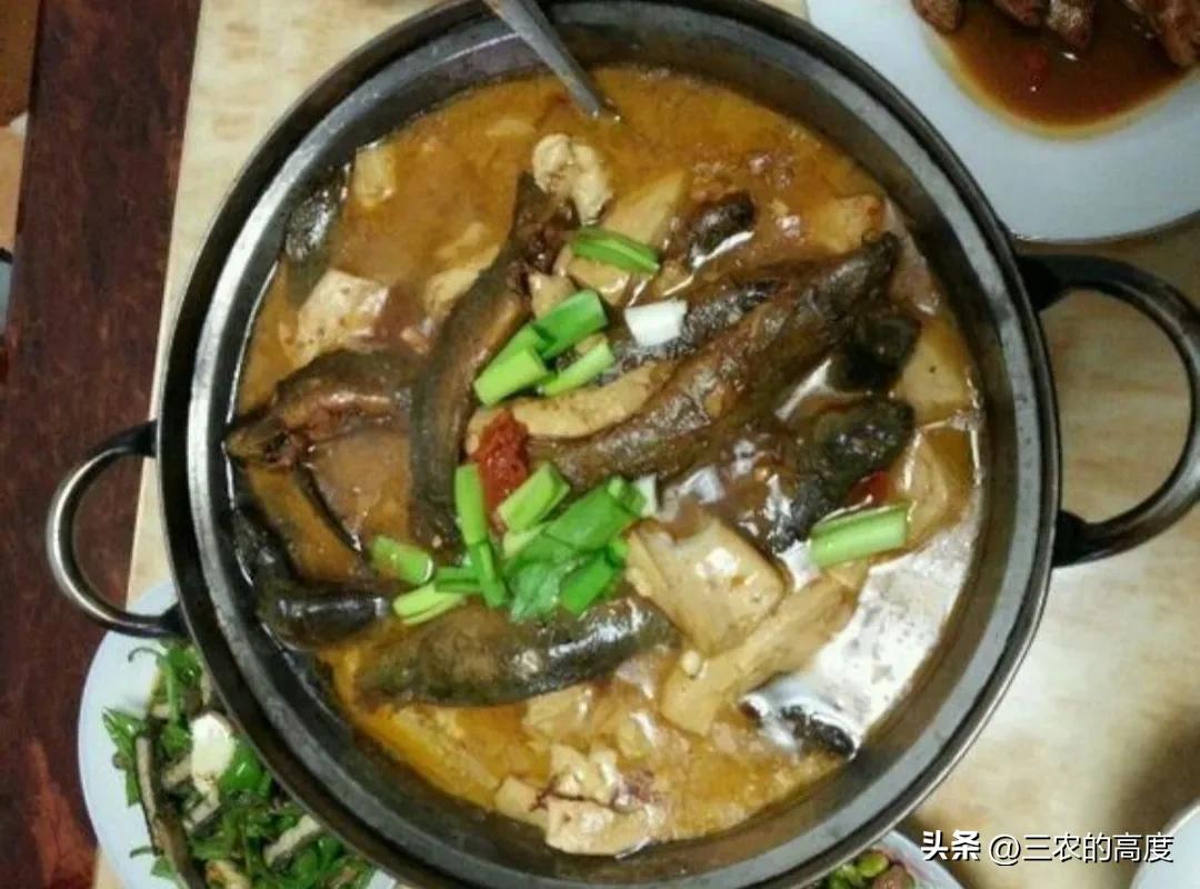 河鲜四大名鱼,最顶级的河鲜鱼