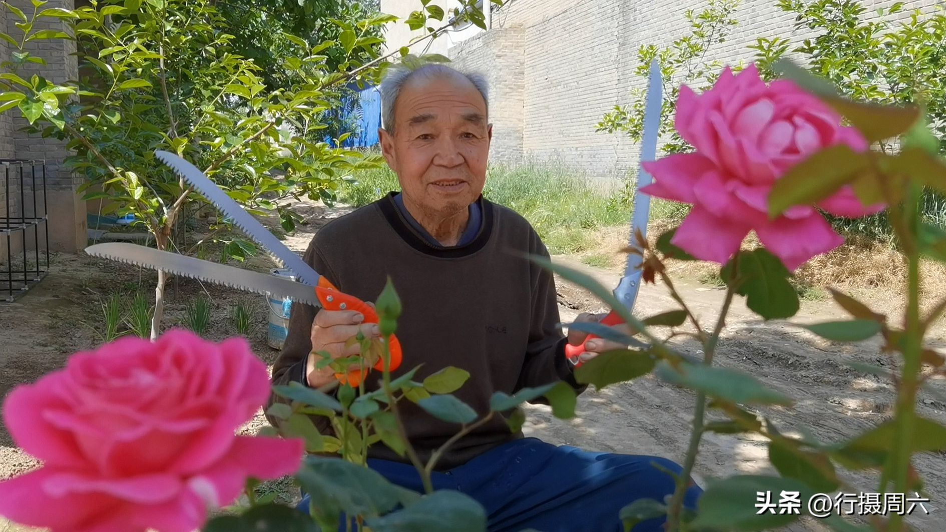 农民大爷干“锯业”20年找到致富路，家庭小厂年销售200万元