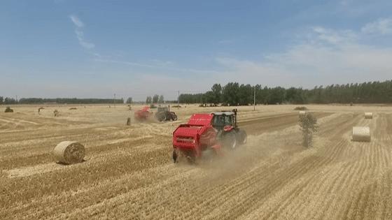佳木斯德沃农机,黑龙江德沃农机地址