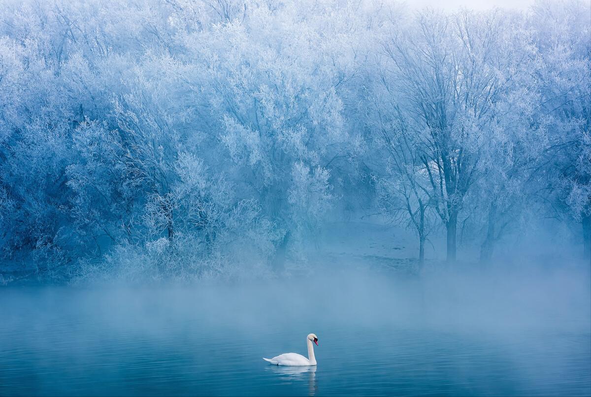 明月如霜好风如水清景无限赏析,明月如霜好风如水清景无限出处