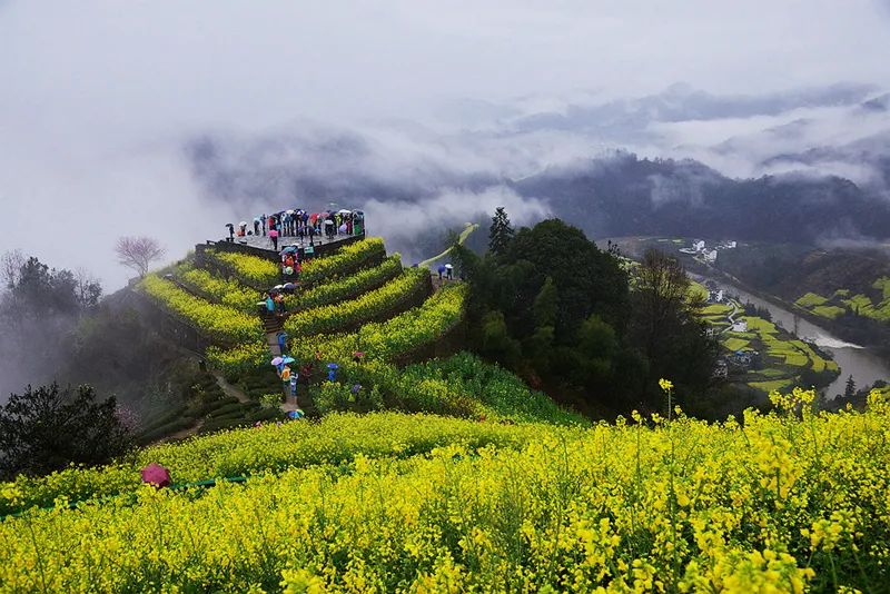 2020梦幻之秋婺源三天摄影创作团,醉美婺源摄影地点推荐