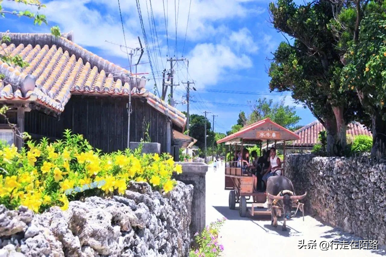 琉球竹富岛：红瓦屋顶石狮镇宅，小葱豆腐长命百岁