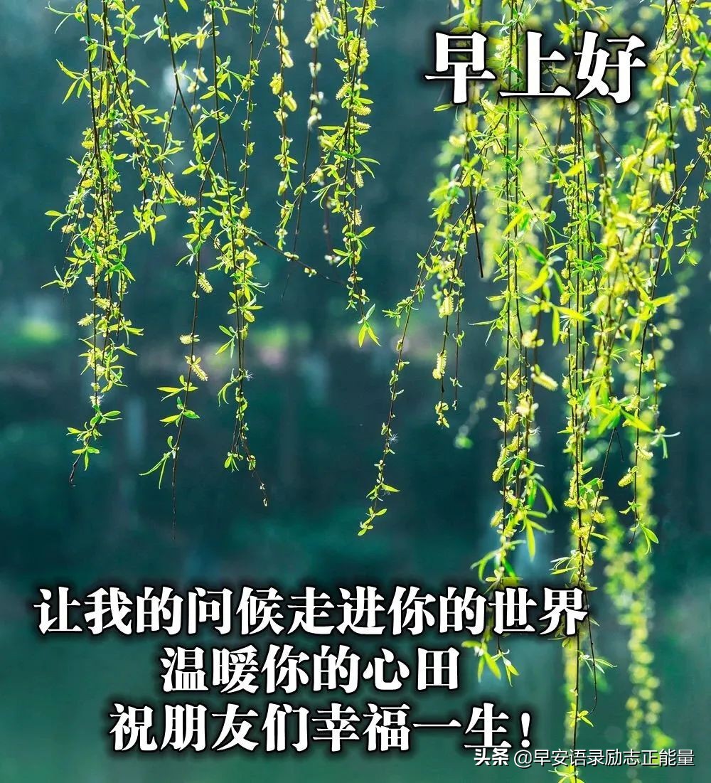 励志早安心语配图微商,励志微商正能量早安语录图片大全