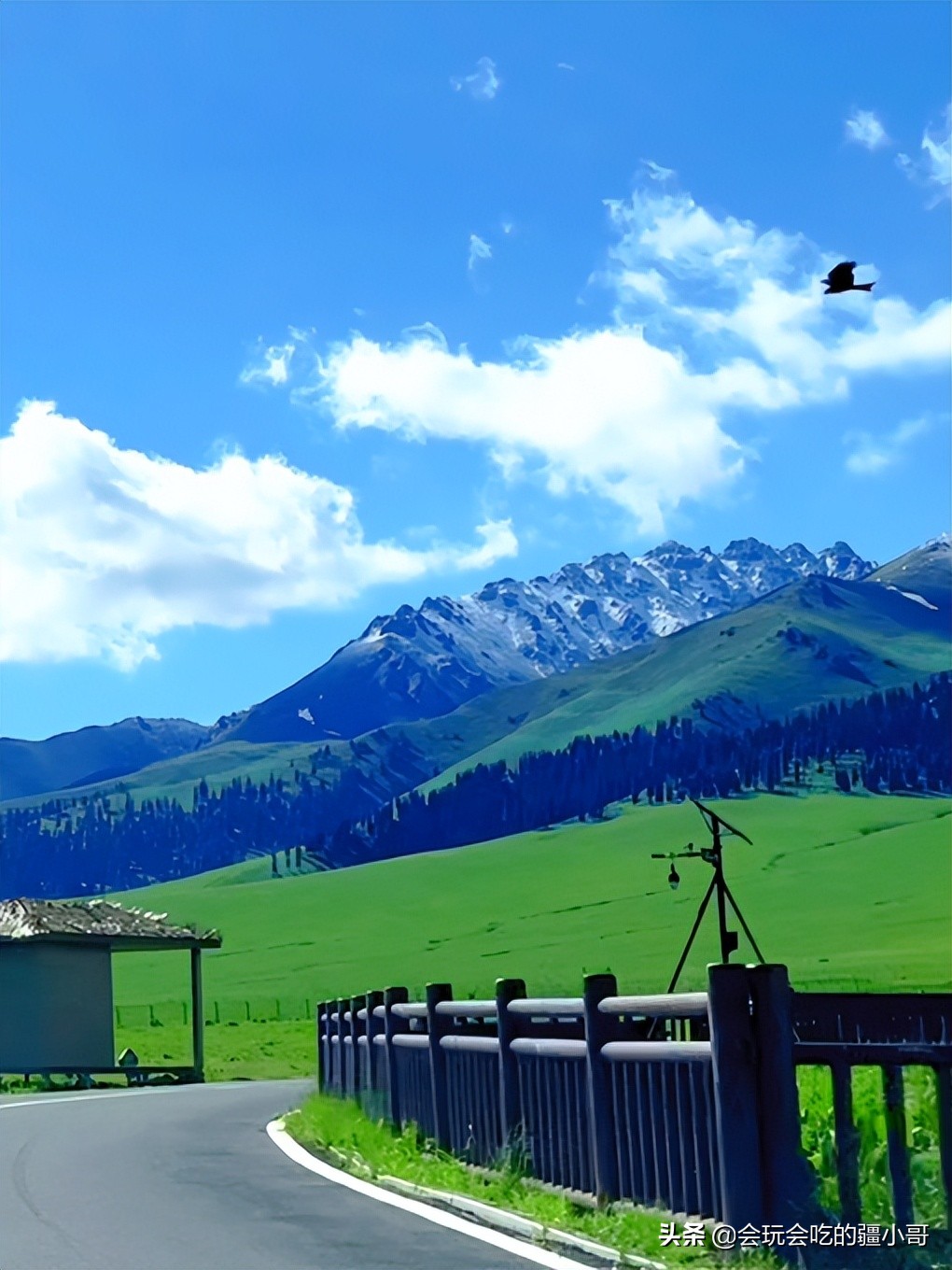 旅行十大危险目的地,旅行需要注意的避坑事项