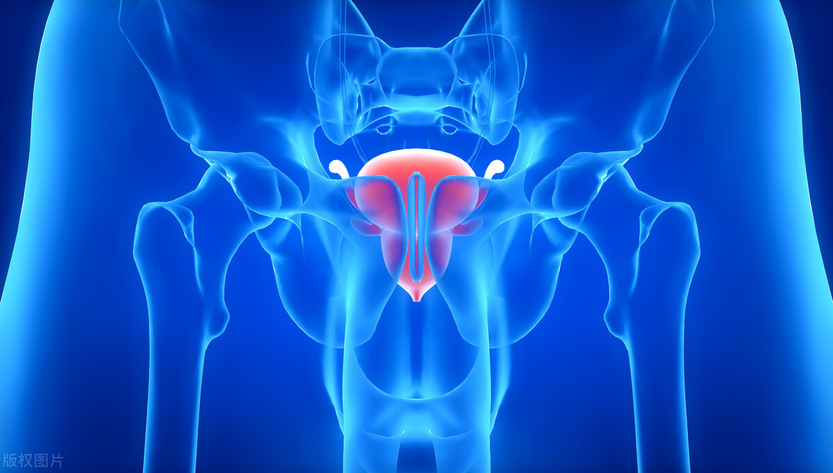 附睾丸炎中药能治吗,附睾丸炎的中医辨证论治