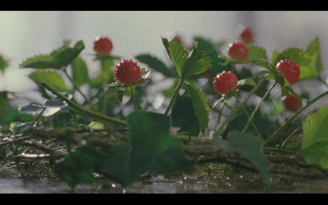 你见过如此奇葩的一家,从未见过如此奇葩的一家