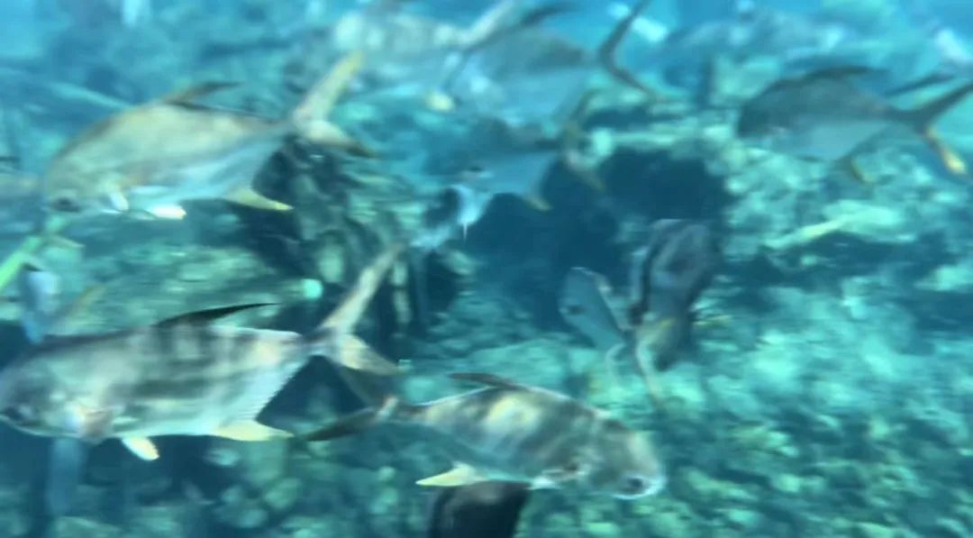 中国人去朝鲜旅游什么待遇,中国人去韩国待遇怎么样