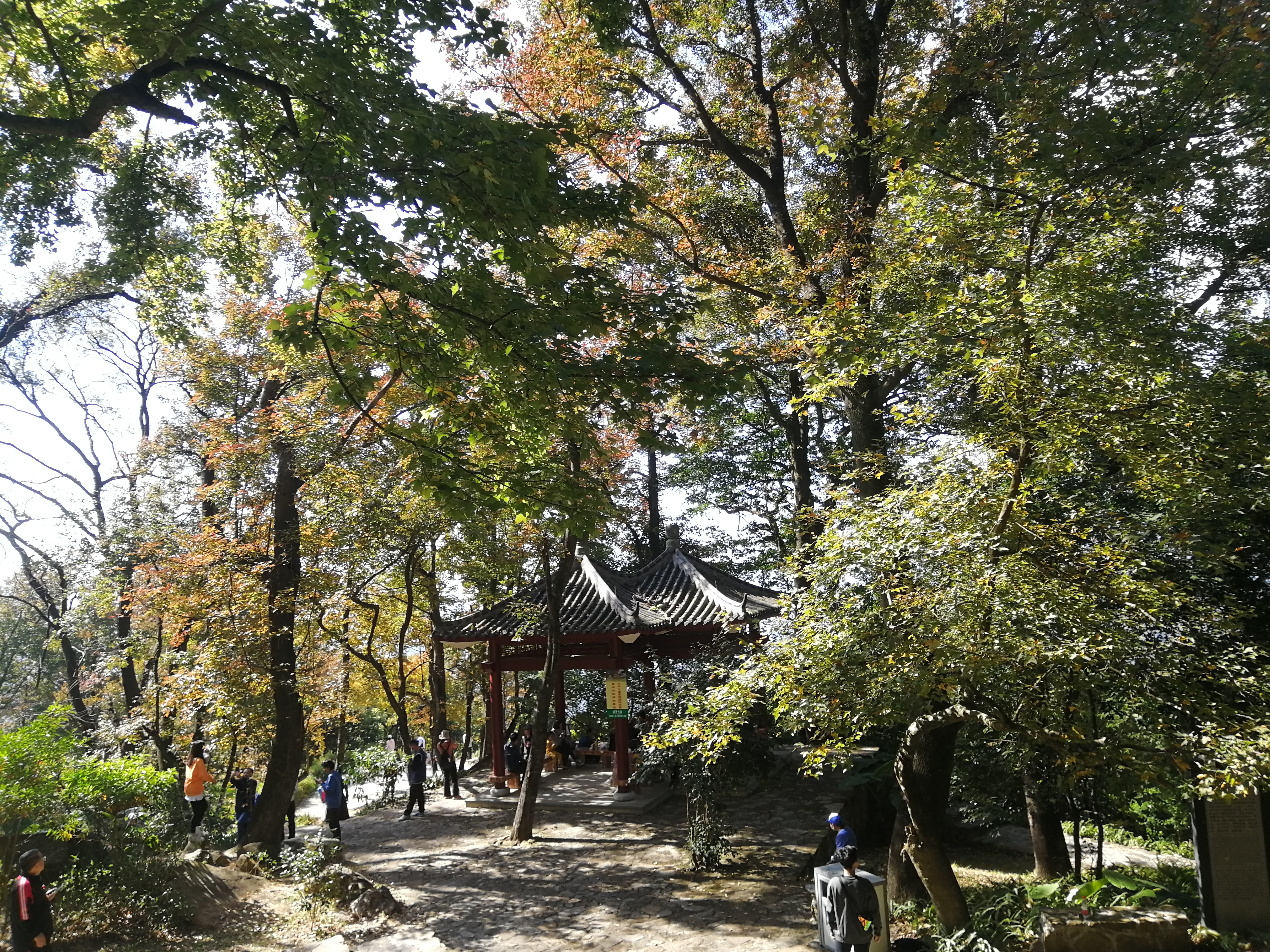 石门森林公园樱花谷交通线路,从化石门公园枫叶