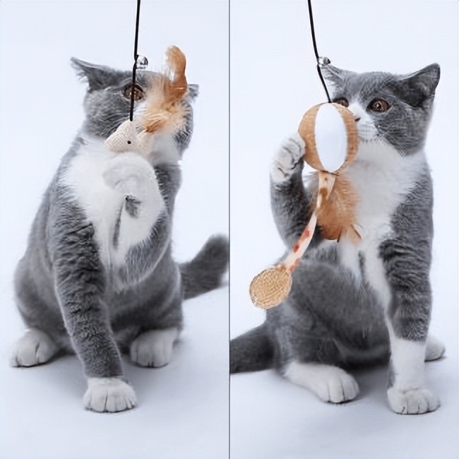 猫咪玩具建议买哪些,猫咪喜欢的小玩具有哪些