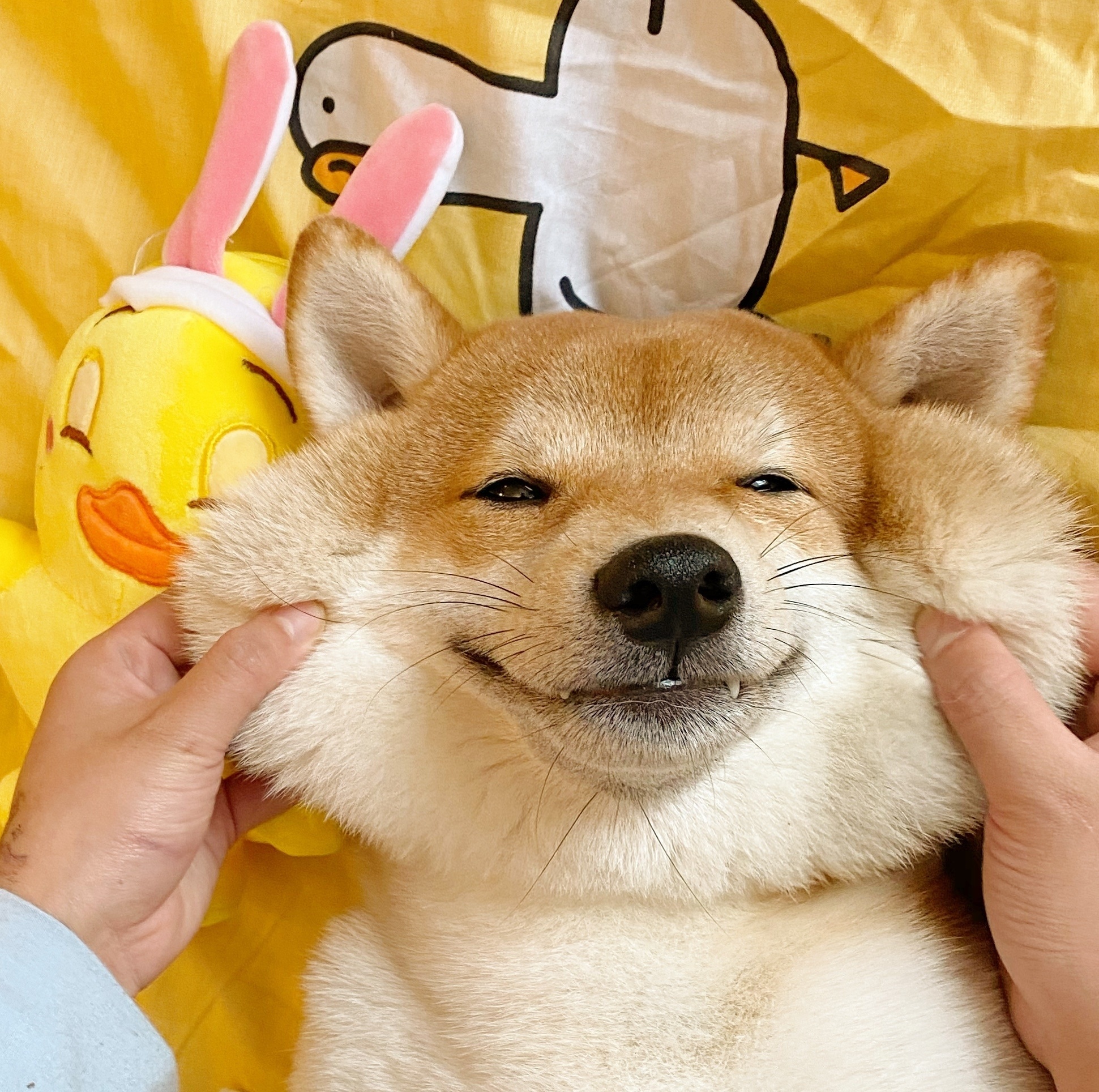 夸帅哥的文案沙雕,戏精脱口秀文案